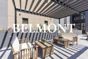 Belmont realtor